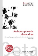 Archontophoenix alexandrae