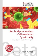 Antibody-dependent Cell-mediated Cytotoxicity