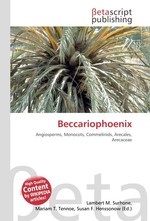 Beccariophoenix