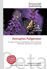 Astraptes Fulgerator