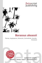 Borassus akeassii