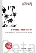 Borassus flabellifer