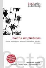 Bactris simplicifrons