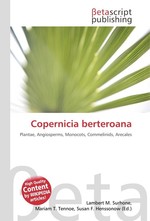 Copernicia berteroana