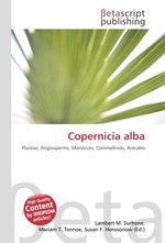 Copernicia alba