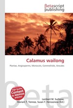 Calamus wailong