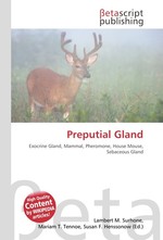 Preputial Gland