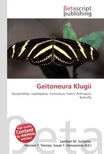 Geitoneura Klugii