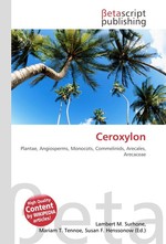 Ceroxylon