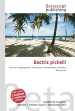 Bactris pickelii