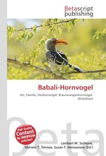 Babali-Hornvogel