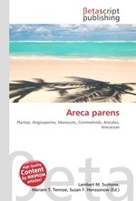 Areca parens