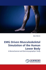 EMG Driven Musculoskeletal Simulation of the Human Lower Body. A Biomechanical and Electromyographyic Study