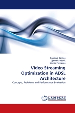 Video Streaming Optimization in ADSL Architecture. Concepts, Problems and Performance Evaluation