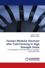 Youngs Modulus Decrease after Cold Forming in High Strength Steels. An Investigation Into the Mechanism using Bake Hardenable Steel