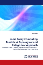 Some Fuzzy Computing Models: A Topological and Categorical Approach. Topological and Categorical Aspects of Fuzzy Automata, Fuzzy Chu Spaces and Fuzzy Petri Nets