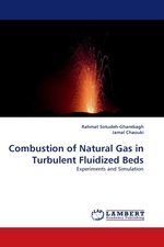 Combustion of Natural Gas in Turbulent Fluidized Beds. Experiments and Simulation