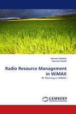 Radio Resource Management in WiMAX. RF Planning in WiMAX