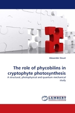 The role of phycobilins in cryptophyte photosynthesis. A structural, photophysical and quantum mechanical study