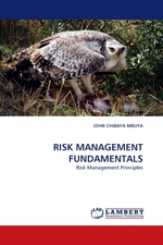 RISK MANAGEMENT FUNDAMENTALS. Risk Management Principles