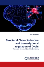 Structural Characterization and transcriptional regulation of Cypin. The role in Neuronal Dendrite Branching