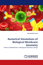 Numerical Simulations of Biological Membrane Geometry. Power of Mathematics in Biological Geometric Design