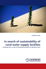 In search of sustainability of rural water supply facilities. Looking into a case of borehole projects in Burkina Faso