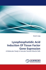 Lysophosphatidic Acid Induction Of Tissue Factor Gene Expression. A Molecular Study In Vascular Smooth Muscle Cells