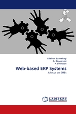 Web-based ERP Systems. A focus on SMEs