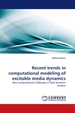 Recent trends in computational modeling of excitable media dynamics. New computational challenges in fluid dynamics analysis