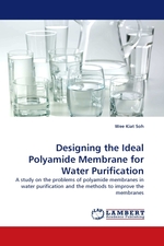 Designing the Ideal Polyamide Membrane for Water Purification. A study on the problems of polyamide membranes in water purification and the methods to improve the membranes