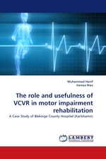 The role and usefulness of VCVR in motor impairment rehabilitation. A Case Study of Blekinge County Hospital (Karlshamn)