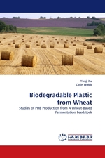 Biodegradable Plastic from Wheat. Studies of PHB Production from A Wheat-Based Fermentation Feedstock