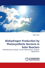 Biohydrogen Production by Photosynthetic Bacteria in Solar Reactors. Photobioreactor Design, Process Optimization, Outdoor Applications