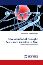 Development of Drought Resistance Varieties in Rice. Using in-vitro hybridization