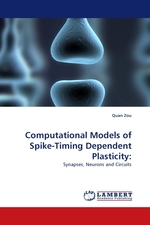 Computational Models of Spike-Timing Dependent Plasticity:. Synapses, Neurons and Circuits