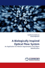 A Biologically Inspired Optical Flow System. An Application for Motion Segmentation and Object Identification