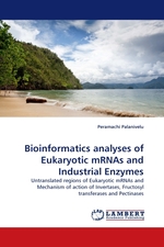 Bioinformatics analyses of Eukaryotic mRNAs and Industrial Enzymes. Untranslated regions of Eukaryotic mRNAs and Mechanism of action of Invertases, Fructosyl transferases and Pectinases