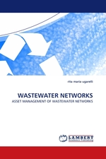 WASTEWATER NETWORKS. ASSET MANAGEMENT OF WASTEWATER NETWORKS