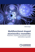 Multifunctional shaped aluminosilica monoliths. Preparation, properties and potential for light hydrocarbons separation