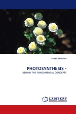 PHOTOSYNTHESIS -. BEHIND THE FUNDAMENTAL CONCEPTS