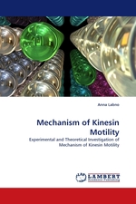 Mechanism of Kinesin Motility. Experimental and Theoretical Investigation of Mechanism of Kinesin Motility