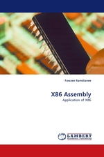 X86 Assembly. Application of X86