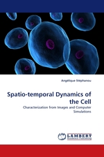 Spatio-temporal Dynamics of the Cell. Characterization from Images and Computer Simulations