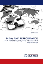 M. A Multi-Method Study on Dynamics of Success in Post Integration Stage