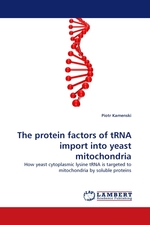 The protein factors of tRNA import into yeast mitochondria. How yeast cytoplasmic lysine tRNA is targeted to mitochondria by soluble proteins