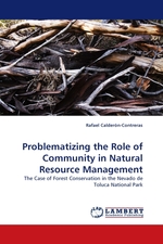 Problematizing the Role of Community in Natural Resource Management. The Case of Forest Conservation in the Nevado de Toluca National Park