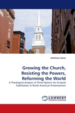 Growing the Church, Resisting the Powers, Reforming the World. A Theological Analysis of Three Options for Ecclesial Faithfulness in North American Protestantism