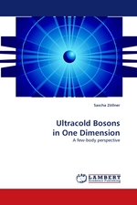 Ultracold Bosons in One Dimension. A few-body perspective