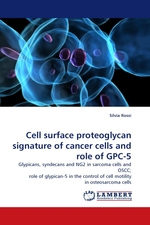 Cell surface proteoglycan signature of cancer cells and role of GPC-5. Glypicans, syndecans and NG2 in sarcoma cells and OSCC; role of glypican-5 in the control of cell motility in osteosarcoma cells